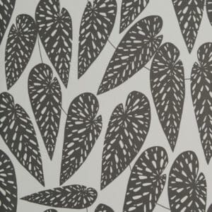 MISP1292-TROPICS-Nightfall