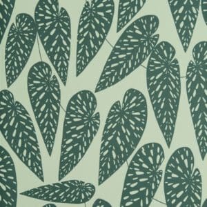 MISP1293-TROPICS-Jungle